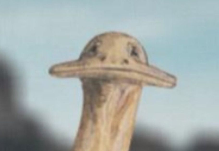 結局、バイタリティ。