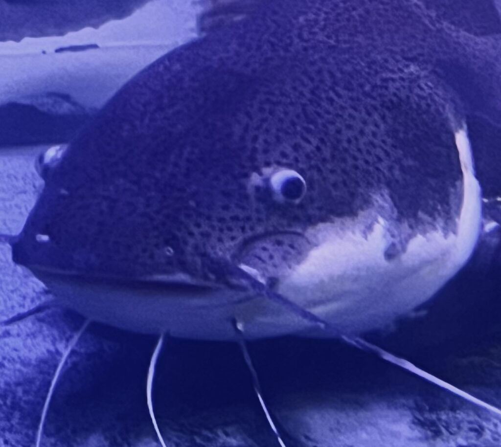 まず肯定から入ろう